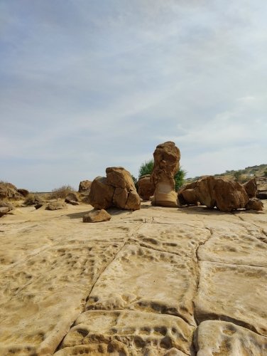 IMG-20250219-WA0252 (1)