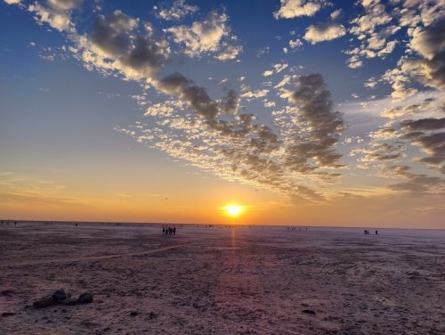 IMG-20250219-WA0255 (1)